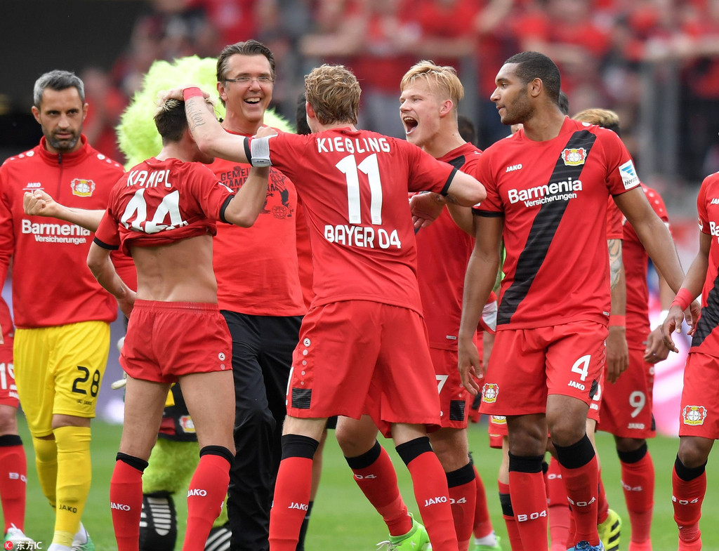 杨的选择 杨的选择