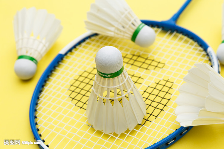 徐思的崭露 徐思的崭露