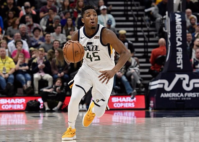 情感的寄托 情感的寄托