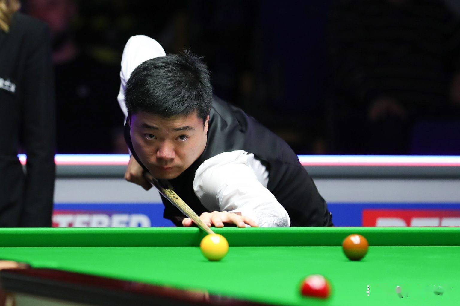 无论是新秀 无论是新秀