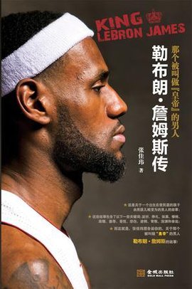 项目试点三